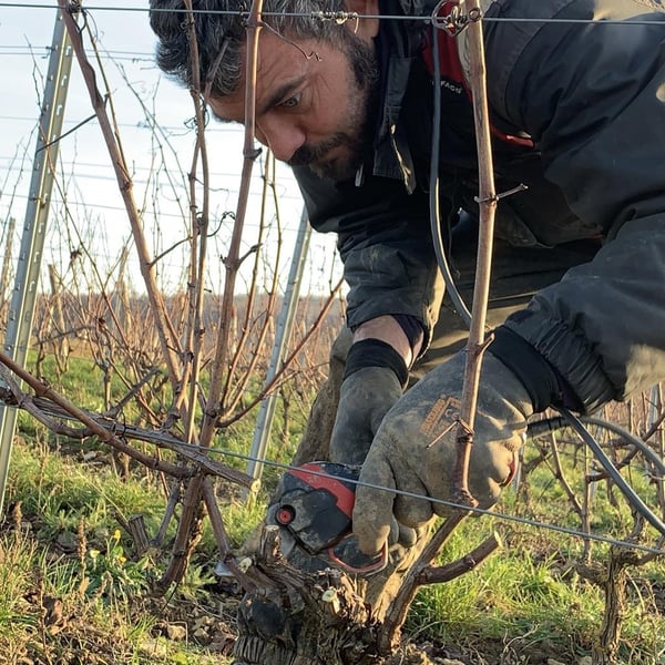 Domaine de l'Aubraine - Caroline & Thibaut Pariset