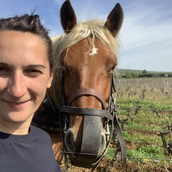 Domaine de l'Aubraine - Caroline & Thibaut Pariset