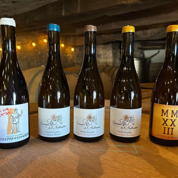 Domaine de l'Aubraine - Caroline & Thibaut Pariset