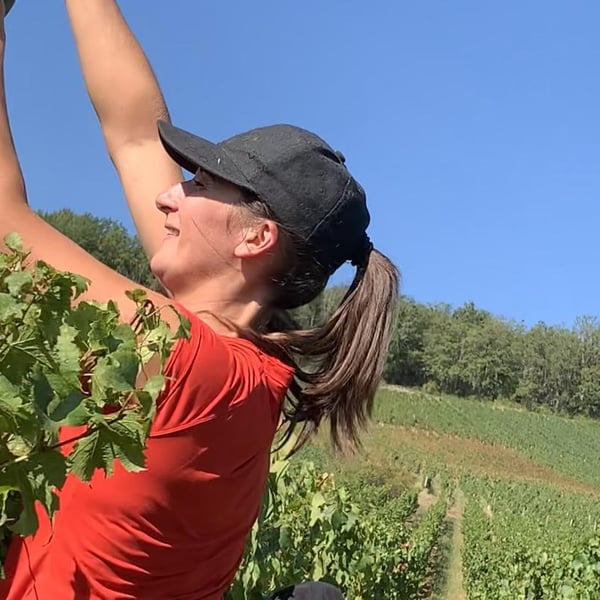 Domaine de l'Aubraine - Caroline & Thibaut Pariset