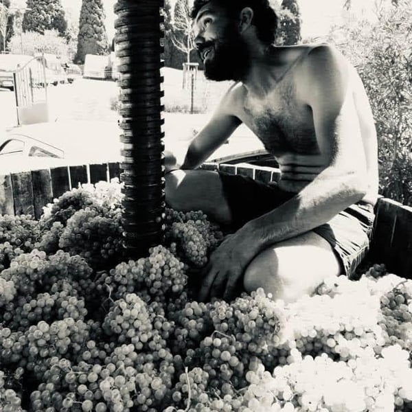 La Mariota - Cecilia Diaz & Guillermo Campos Baeza