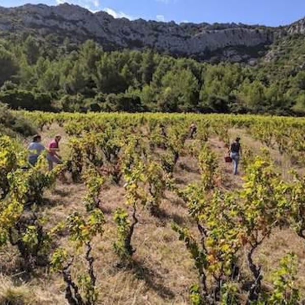 Cecilia Diaz & Guillermo Campos Baeza