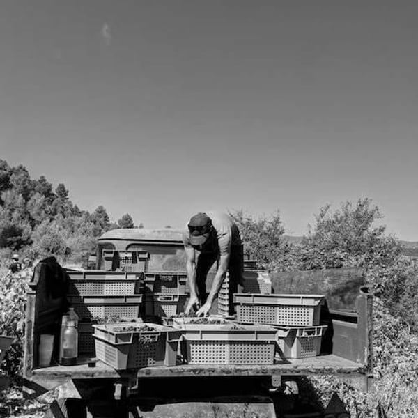 Cecilia Diaz & Guillermo Campos Baeza