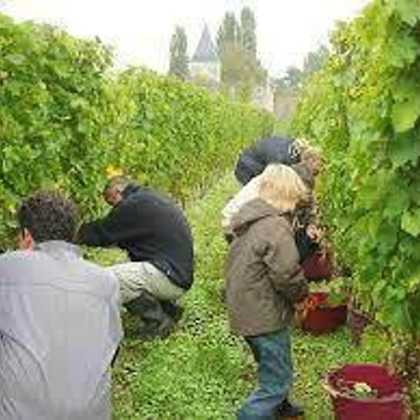 Celine & Benoit Blet