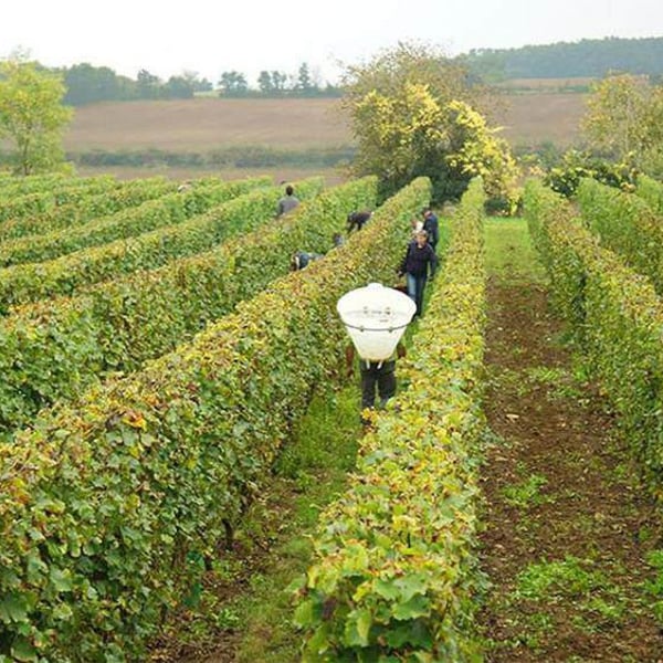 Celine & Benoit Blet