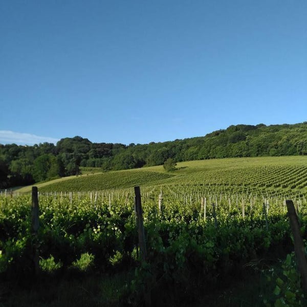 Clos les Mets d'Ames - Céline Oulié et Cedrik Dubois