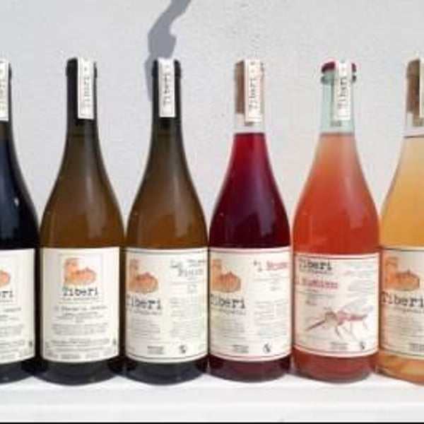 Tiberi Vini Artigianali - Cesare, Piero & Federico Tiberi