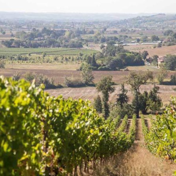 L'enclos Des Braves - Chantal & Nicolas Lebrun