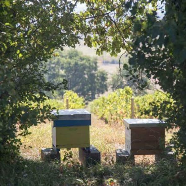 L'enclos Des Braves - Chantal & Nicolas Lebrun