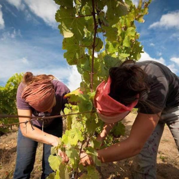 L'enclos Des Braves - Chantal & Nicolas Lebrun