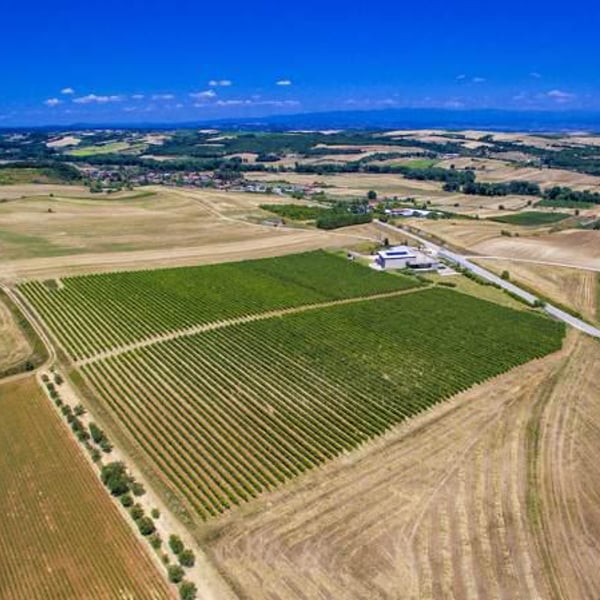 Chatzivaritis Estate - Chloi Chatzivariti