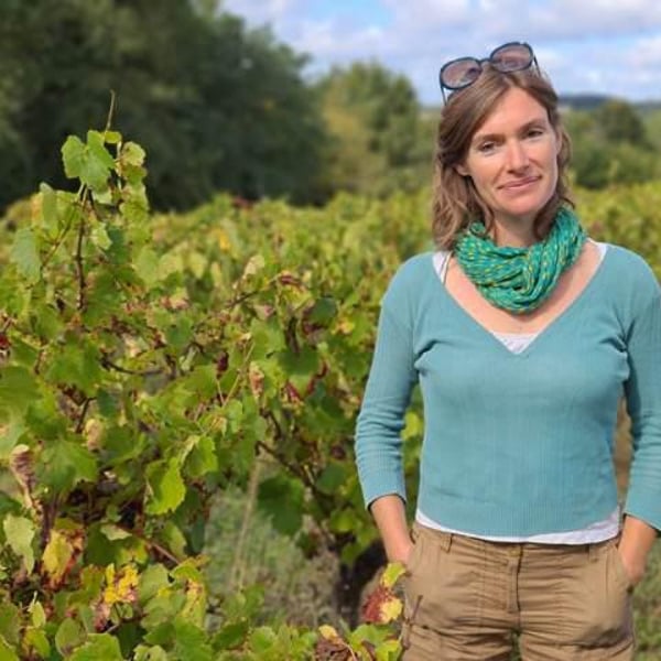 Les Pensées "sauvages" - Christelle Pineau