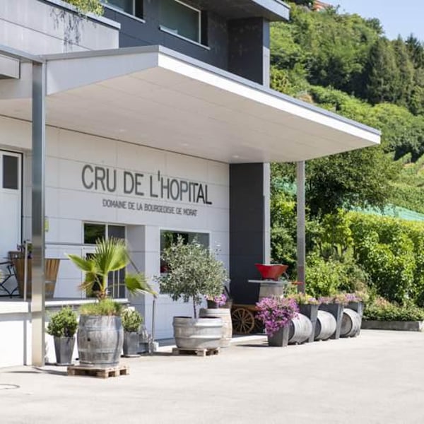 Cru de l'Hôpital - Christian Vessaz