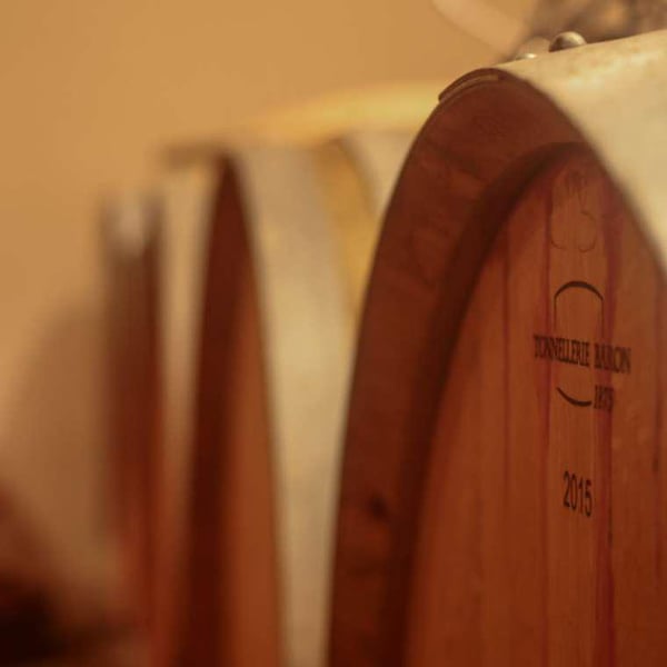 Vignobles Pueyo - Christophe Pueyo