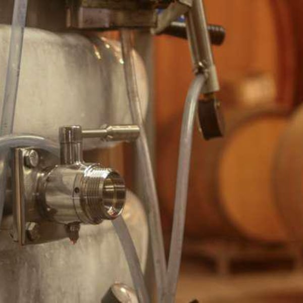 Vignobles Pueyo - Christophe Pueyo