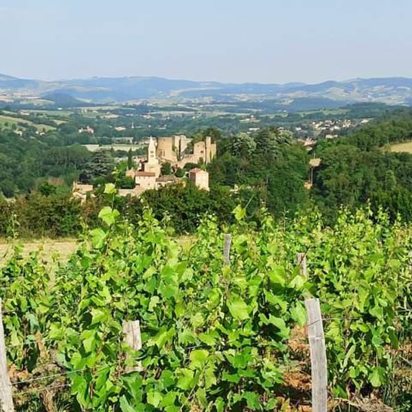 Domaine Chasselay - Claire & Fabien Chasselay