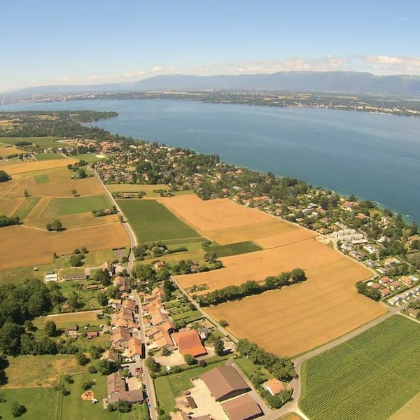 Domaine des Champs-Lingots - Claude-Alain Chollet