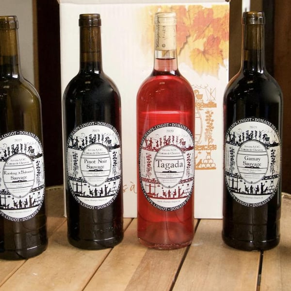 Domaine des Champs-Lingots - Claude-Alain Chollet