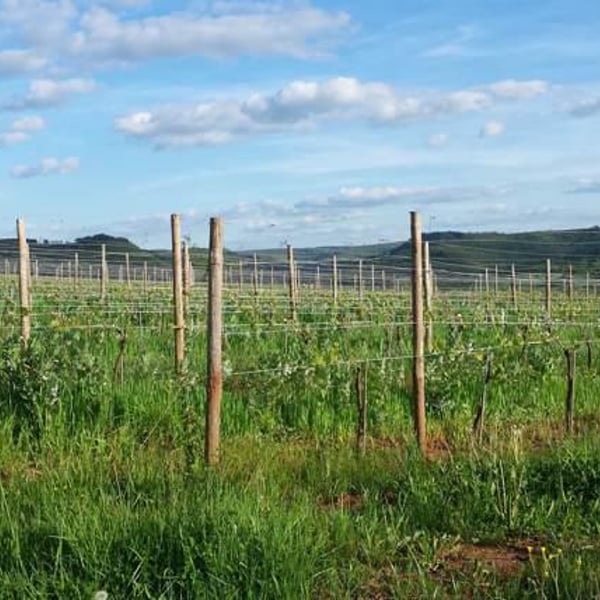 Domaine des Costes Rouges - Claudine & Eric Vinas