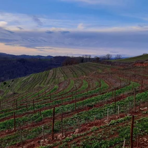 Domaine des Costes Rouges - Claudine & Eric Vinas