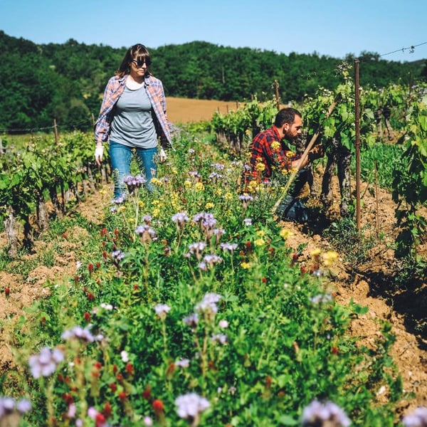 Domaine de La Petite Tuile - Clémence & Clément Debord