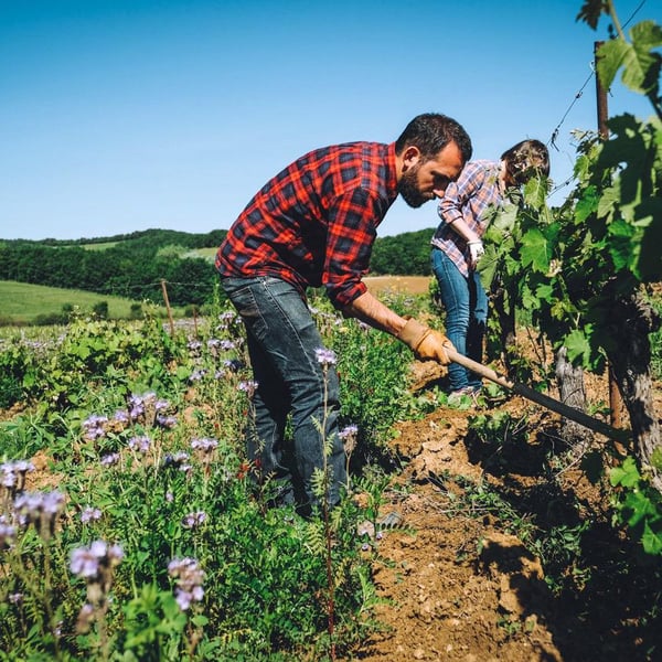 Domaine de La Petite Tuile - Clémence & Clément Debord