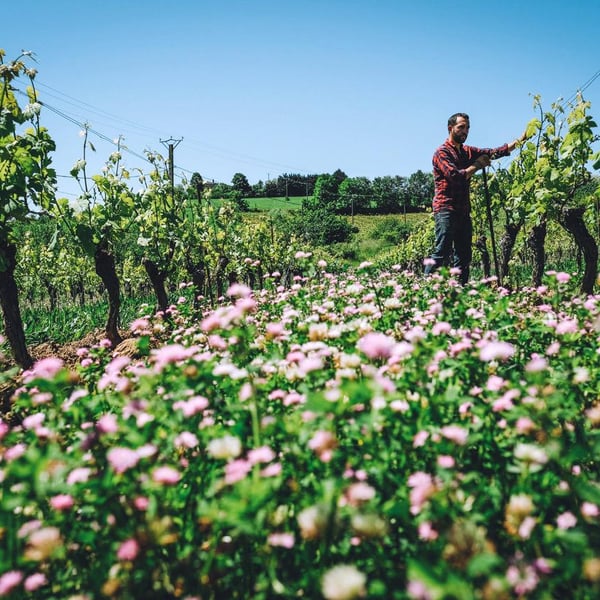 Domaine de La Petite Tuile - Clémence & Clément Debord
