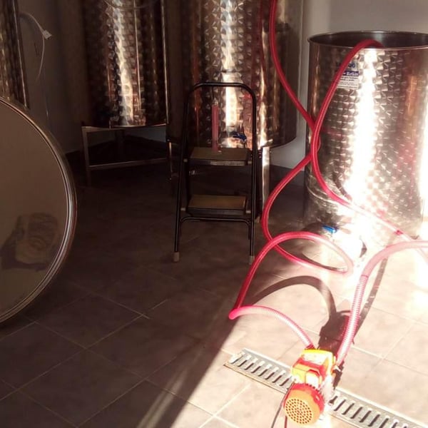 Vintopia - Clemente & Enrique Ortíz Martinez