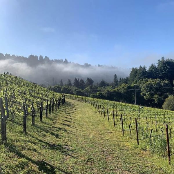 Madson Wines - Cole Thomas , Ken Swegles & Abbey Chrystal
