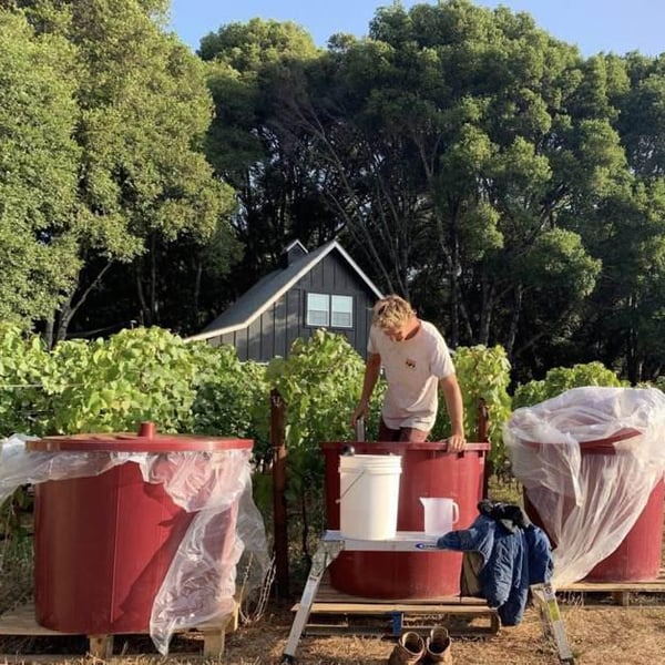 Madson Wines - Cole Thomas , Ken Swegles & Abbey Chrystal