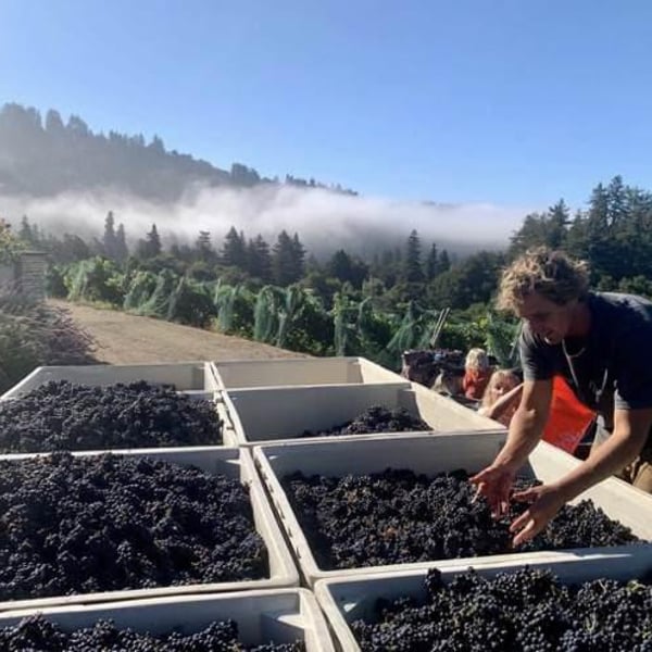 Madson Wines - Cole Thomas , Ken Swegles & Abbey Chrystal