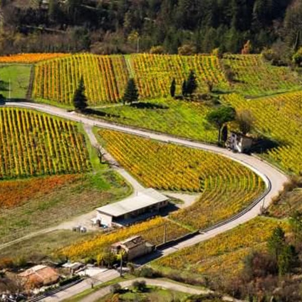 Clos Saint-Joseph - Constance Malangé & Roch Sassi