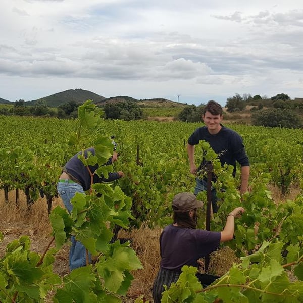 Domaine Les Terres De Mallyce - Corinne & Yves Soto