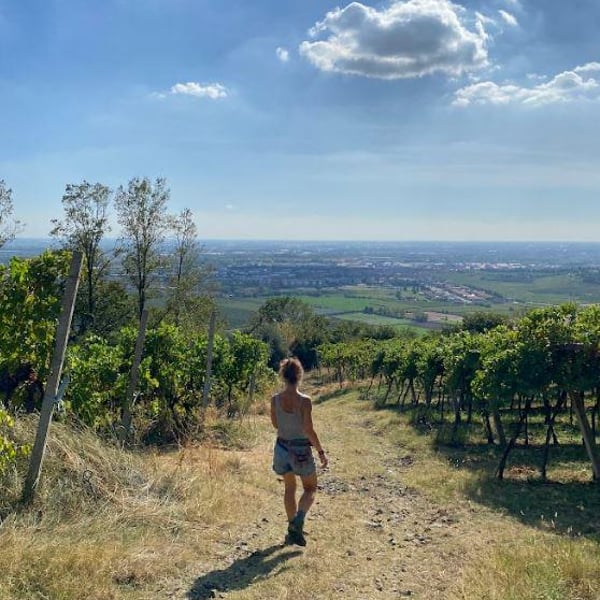 Terre di Pietra - Anna, Alice & Cristiano Saletti