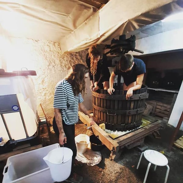 C.U.V.E. (Comité Urbain de Vinification Expérimental) - CUVE