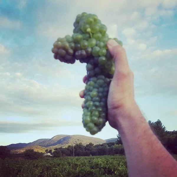 C.U.V.E. (Comité Urbain de Vinification Expérimental) - CUVE