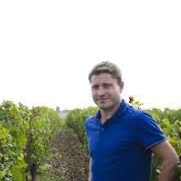 Château les Vieux Moulins - Damien Lorteau