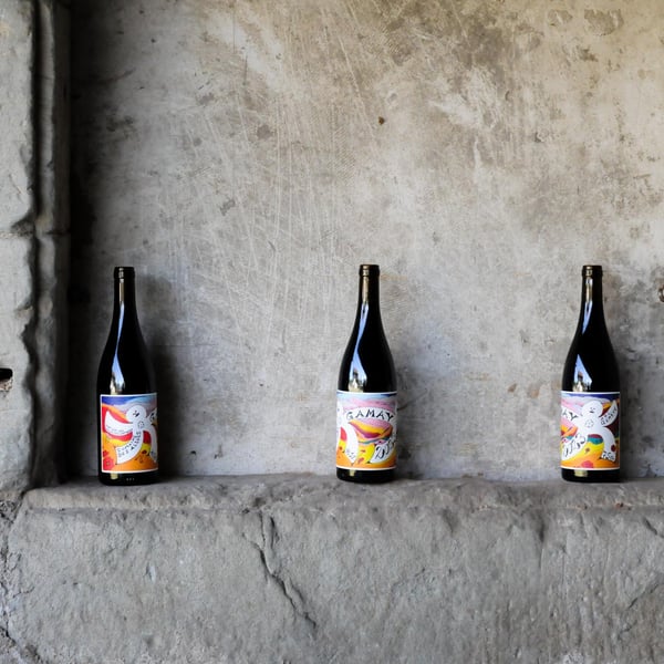 Domaine des Allues - Damien Schaller