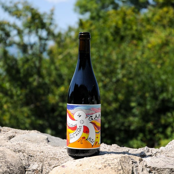 Domaine des Allues - Damien Schaller