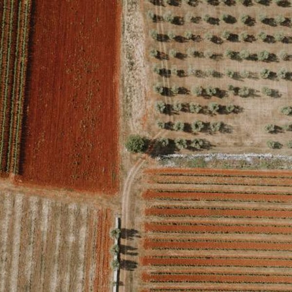 Ghira Winery - Damir Mihelić