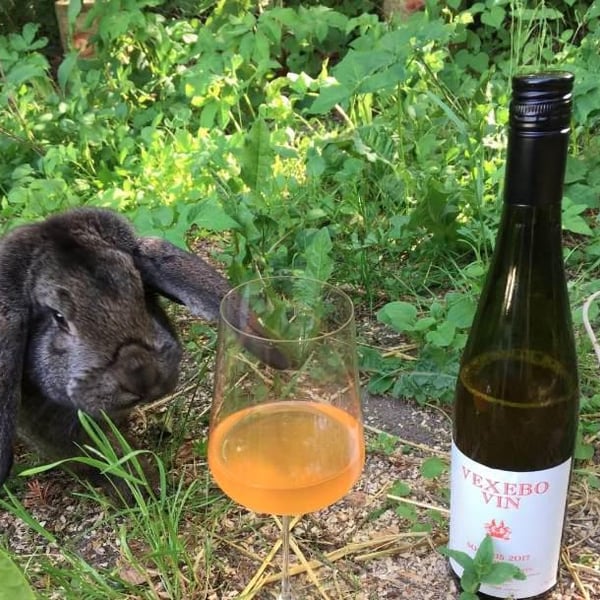 Vexebo Vin - Daniel Milan