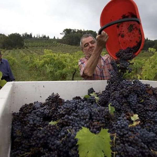 Daniele , Andrea & Lorenzo Dzieduszycki