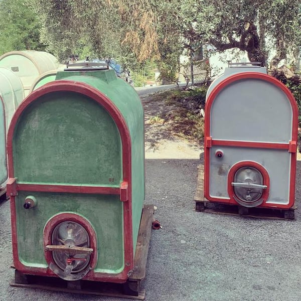 Azienda Agricola La Ricolla - Daniele Parma