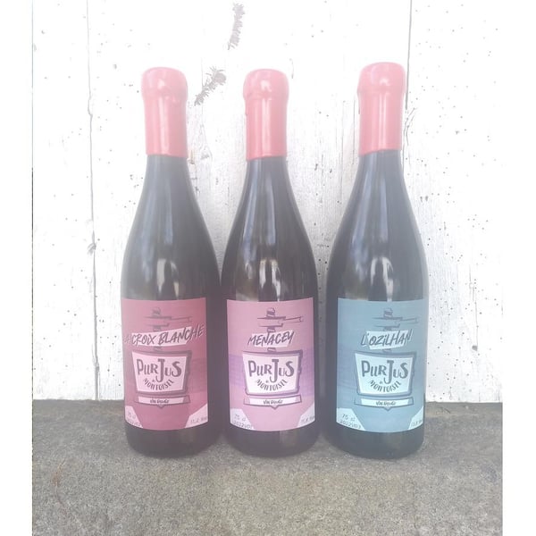 Purs jus de Montoisel - David Gay-Arnaud