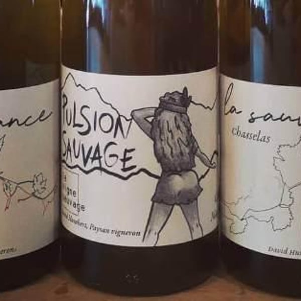 La Vigne Sauvage - David Humbert
