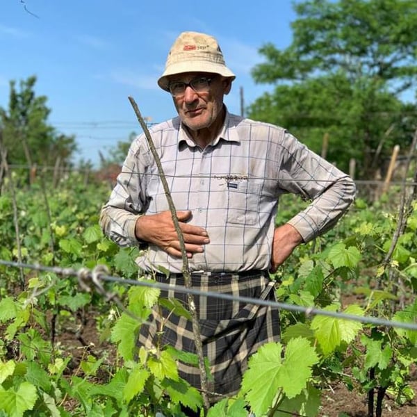 Tklapi’s Marani - Kapi’s Wine - David Kapanadze