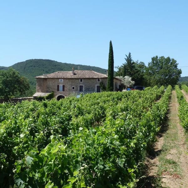Vignoble de Jape-loup - David Theunis