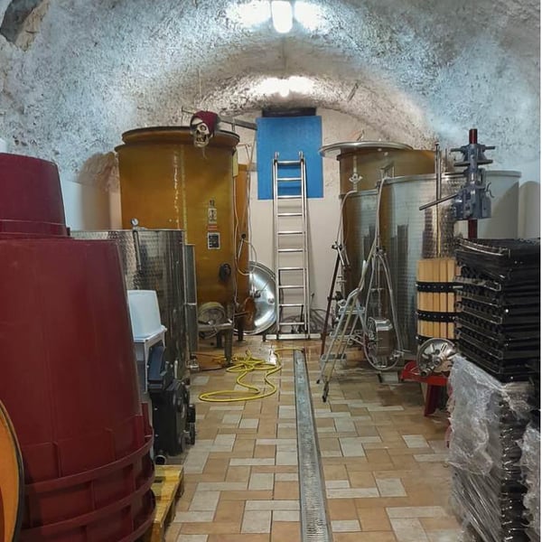 Cantina Del Disordine - Davide Picariello