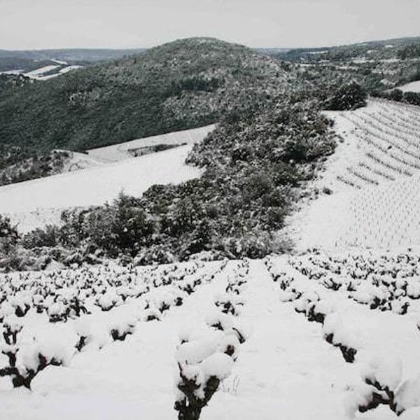 Domaine de Clairac/Domaine d'O - Déborah & Olivier Knowland