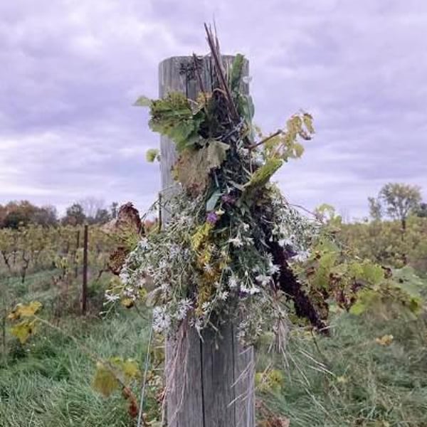 La Garagista Farm & Winery - Deirdre Heekin and Caleb Barber